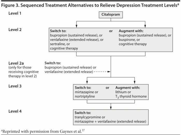 A Review of Antidepressant Therapy in Primary Care: Current Practices ...